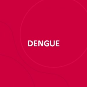 VACINA DENGUE