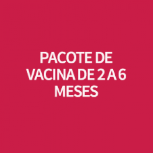 PACOTE DE VACINA DE 2 A 6 MESES